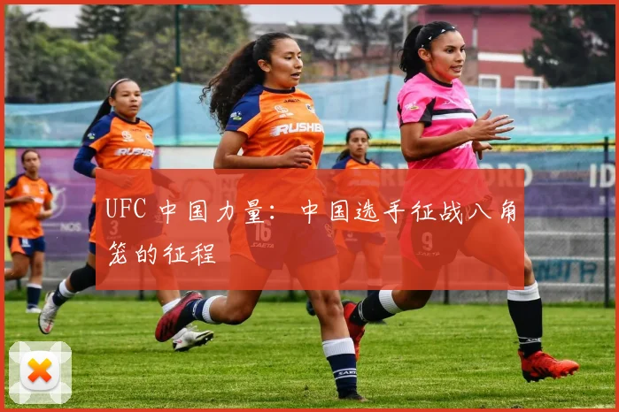 UFC 中国力量：中国选手征战八角笼的征程