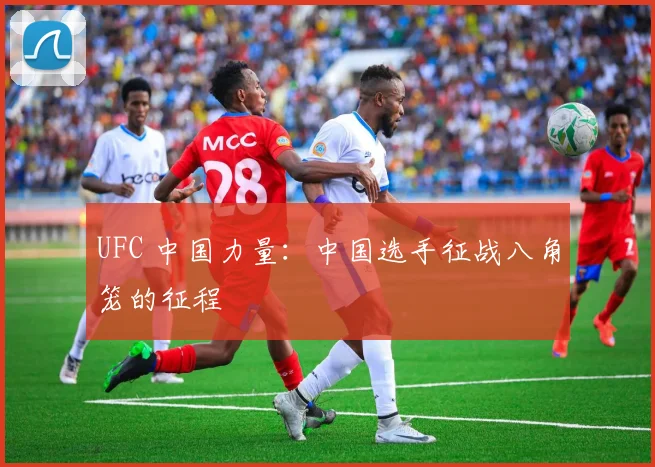 UFC 中国力量:中国选手征战八角笼的征程